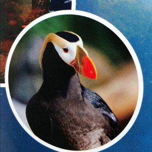 Meet your Posher, Rosa